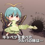  1girl animal antennae aqua_hair barefoot blush brown_background brown_eyes butterfly_wings cabbage dress eating eternity_larva eyebrows_visible_through_hair fairy flying_sweatdrops food green_dress hair_between_eyes highres holding holding_food holding_vegetable kyoukei_usagi leaf leaf_on_head multicolored_clothes multicolored_dress shadow short_hair short_sleeves simple_background single_strap solo touhou translation_request urchin vegetable wings 