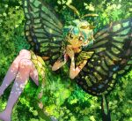  1girl antennae aqua_hair barefoot brown_eyes butterfly_wings closed_mouth dress eternity_larva eyebrows_visible_through_hair fairy food fruit green_dress hair_between_eyes highres holding holding_food holding_fruit itomugi-kun leaf leaf_on_head multicolored_clothes multicolored_dress orange_(fruit) short_hair short_sleeves single_strap smile solo touhou wings 