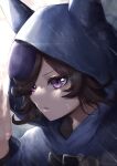  1girl brown_hair commentary_request face hair_over_one_eye hat_over_one_eye highres hinamayo hood hood_up horse_girl horse_hood light_particles long_sleeves looking_away parted_lips rain raincoat rice_shower_(umamusume) solo twitter_username umamusume violet_eyes 