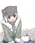  1girl alternate_costume animal_ears blush brown_eyes casual coat commentary_request dog eyebrows_visible_through_hair fur_collar fur_trim green_coat grey_hair grey_sweater kemono_friends multicolored_hair open_mouth otter_ears otter_girl san_sami short_hair small-clawed_otter_(kemono_friends) solo sweater turtleneck turtleneck_sweater two-tone_hair white_fur white_hair winter_clothes 