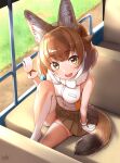  1girl :d animal_ear_fluff animal_ears arm_support armpit_crease backlighting bangs bare_arms bare_shoulders blurry blurry_background blush breast_pocket breasts brown_eyes brown_skirt bus_interior dhole_(kemono_friends) dog_ears dog_girl dog_tail extra_ears eyebrows_visible_through_hair folded_leg foot_out_of_frame from_above fur-trimmed_collar glove_bow gloves grass hair_flaps hand_up highres kemono_friends kemono_friends_3 knee_up light_brown_hair looking_at_viewer looking_to_the_side looking_up medium_breasts miniskirt multicolored_hair no_shoes open_mouth orange_legwear outdoors pleated_skirt pocket shiny shiny_hair shiny_skin shirt short_hair signature sitting skirt sleeveless sleeveless_shirt smile solo tail takebi thigh-highs two-tone_hair vehicle_interior white_gloves white_shirt zettai_ryouiki 