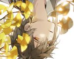  1boy bangs brown_hair commentary_request eyeliner genshin_impact ginkgo_leaf hair_between_eyes korean_commentary looking_at_viewer makeup male_focus parted_lips simple_background solo starim04 upside-down white_background yellow_eyes zhongli_(genshin_impact) 