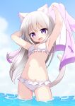  1girl absurdres animal_ear_fluff animal_ears armpits arms_up bikini breasts cat_ears cat_girl cat_tail clouds fang highres jacket jacket_removed long_hair mogura2009 open_mouth original outdoors pink_eyes pink_jacket silver_hair sky small_breasts smile solo swimsuit tail wading water white_bikini 