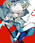  1girl animal_ears arknights bangs blue_legwear blue_shirt blue_shorts closed_mouth commentary_request gloves grey_hair hair_between_eyes holding hood hood_down hooded_jacket jacket jacket_on_shoulders legwear_under_shorts pantyhose red_background shiromiso shirt short_shorts shorts simple_background solo sussurro_(arknights) tail violet_eyes wavy_mouth white_gloves white_jacket 