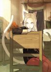  1girl animal_ear_fluff animal_ears arm_rest black_jacket book book_stack cat_ears cat_girl cat_tail chair commentary desk drawer edelgard_von_hresvelg feet_out_of_frame fire_emblem fire_emblem:_three_houses flower gloves hair_ribbon half_updo highres indoors jacket kemonomimi_mode light_rays long_hair looking_to_the_side mouse mueririko on_chair pantyhose plant potted_plant quill red_flower red_legwear ribbon shelf silver_hair sitting solo stuffed_animal stuffed_toy sunbeam sunlight tail teddy_bear violet_eyes white_gloves wooden_floor wooden_wall 