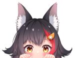  1girl animal_ear_fluff animal_ears bangs black_hair blush commentary_request eyebrows_visible_through_hair hair_between_eyes hair_flaps highres hololive looking_at_viewer multicolored_hair ookami_mio peeking redhead simple_background solo streaked_hair takumin_dx virtual_youtuber white_background wolf_ears wolf_girl yellow_eyes 
