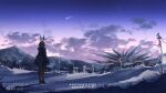  1girl amiya_(arknights) animal_ears anonamos arknights artist_name brown_hair clouds cloudy_sky coat comet from_behind full_body highres long_hair long_sleeves looking_away low_ponytail outdoors pantyhose power_lines rabbit_ears scenery sky snow solo standing star_(sky) starry_sky utility_pole 