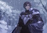  armor arthur_(bealphareth) bealphareth cape male rueken snow snowing solo tree 