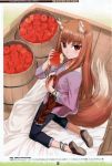  animal_ears anklet apple barrel blush bracelet brown_hair eating food from_above fruit highres holding holding_fruit holo jewelry kneeling koume_keito long_hair looking_up pouch red_eyes scan smile solo spice_and_wolf tail wolf_ears wolf_tail 