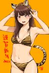  1girl animal_ears animal_print bangs bikini blush breasts brown_eyes brown_hair chinese_zodiac commentary_request copyright_request cowboy_shot eyebrows_visible_through_hair fake_animal_ears funatsu_kazuki hairband hands_up highres long_hair looking_at_viewer medium_breasts navel open_mouth simple_background smile solo standing swimsuit tail teeth tiger_ears tiger_print tiger_tail translation_request upper_teeth year_of_the_tiger 