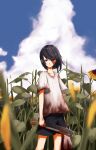  1other absurdres black_hair blood blood_on_clothes blood_on_face blood_on_hands blood_on_weapon blue_eyes blue_sky blurry blurry_foreground closed_mouth clouds cloudy_sky collarbone cumulonimbus_cloud film_grain flower hair_between_eyes highres holding holding_sack holding_weapon kushinaka looking_at_viewer nosebleed original outdoors petals sack shirt sky smile solo standing sunflower t-shirt weapon yellow_flower 