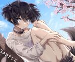  1boy androgynous animal_ears collar dog_boy dog_ears dog_tail grey_eyes leftporygon long_shirt male_focus original pale_skin tail thighs 