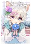  1boy absurdres animal_ears blue_eyes blush cat_boy cat_ears cat_tail flower heterochromia highres holding holding_flower looking_at_viewer male_focus mano_sukey original pale_skin shironeko_mano tail violet_eyes white_hair 