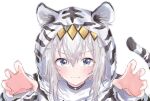  1girl animal_costume animal_ear_fluff animal_ears animal_hood animal_print bangs blue_eyes blush claw_pose closed_mouth dot_nose fake_animal_ears fang grey_hair ha_(hura76752775) highres hood hood_up long_hair looking_at_viewer oguri_cap_(umamusume) shirt simple_background smile solo tail tail_raised tiger_costume tiger_ears tiger_hood tiger_print tiger_tail umamusume upper_body v-shaped_eyebrows white_background white_shirt 