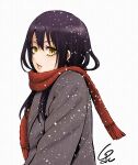  1girl bangs black_hair coat commentary_request eyelashes hair_between_eyes highres izumi_(toubun_kata) long_hair looking_at_viewer mieruko-chan new_year parted_lips scarf sidelocks signature snowing solo upper_body winter winter_clothes winter_coat yellow_eyes yotsuya_miko 
