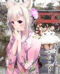  1girl animal_ear_fluff animal_ears animare bangs blush chinese_zodiac eyebrows_visible_through_hair flower grey_hair hair_bun hair_flower hair_ornament highres japanese_clothes kimono long_hair nail_polish pink_kimono pink_nails sch shiromiya_mimi solo tiger torii translation_request virtual_youtuber year_of_the_tiger 