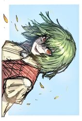  1girl blue_background commentary evil_smile falling_petals floating_hair green_hair hair_between_eyes kazami_yuuka looking_at_viewer medium_hair nio_(meple_nio) orange_eyes parted_lips partially_shaded_face petals plaid_clothes plaid_vest red_vest shirt smile solo touhou upper_body vest white_shirt yellow_petals 