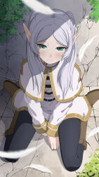  1girl :s absurdres belt between_legs black_belt black_pantyhose black_shirt blurry blurry_foreground blush boots brown_boots capelet closed_mouth commentary_request crack cracked_floor cracked_wall day dot_nose elf english_commentary eyebrows_hidden_by_hair falling_feathers feathers frieren green_eyes grey_hair hair_over_shoulder hand_between_legs highres knee_boots long_hair long_pointy_ears long_sleeves looking_up medium_skirt middle_part mocha4039 multi-source_commentary on_ground outdoors pantyhose parted_bangs plant pointy_ears shade shirt sitting skirt sleeve_cuffs solo sousou_no_frieren stone_floor stone_wall striped_clothes striped_shirt twintails upturned_eyes vines wariza white_capelet white_feathers white_shirt white_skirt 