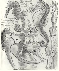  animal animal_focus art_study close-up commentary dated english_commentary english_text eye_focus fish graphite_(medium) greyscale heart highres monochrome multiple_views no_humans original pregnant realistic seahorse sketch traditional_media victoria_putinski 