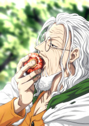  1boy beard blurry blurry_background capelet commentary_request facial_hair fingernails food fruit highres holding holding_food holding_fruit long_hair looking_ahead male_focus musasabiop mustache old old_man one_piece orange_shirt pectorals round_eyewear shirt silvers_rayleigh solo upper_body white_capelet white_hair wrinkled_skin 