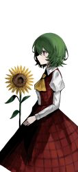  1girl absurdres ascot commentary_request flower green_hair highres kazami_yuuka long_sleeves looking_ahead plaid_clothes plaid_skirt plaid_vest profile red_eyes red_skirt red_vest shirt short_hair simple_background skirt skirt_set solo stymooor_fuyuiri sunflower touhou vest white_background white_shirt yellow_ascot 