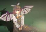  dirty from_above hat hiromasa_(pixiv265599) looking_up mystia_lorelei shadow standing touhou wings 