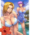  2girls ayane ayane_(doa) bikini blonde_hair blue_eyes breasts cleavage closed_mouth dead_or_alive dress female flower hibiscus ibanen large_breasts medium_hair parted_lips purple_hair red_flower sleeveless sleeveless_dress standing swimsuit tina_armstrong 