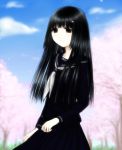  black_hair cherry_blossoms long_hair original school_uniform serafuku tomishi 