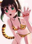  1girl 2022 animal_ear_fluff animal_ears animal_print arm_between_legs armpit_crease ass_visible_through_thighs bangs bell bikini black_hair body_writing breasts chinese_zodiac claw_pose collarbone commentary_request eyebrows_behind_hair fake_animal_ears fake_tail fangs gradient_hair green_eyes groin hair_between_eyes highres leaning_forward light_blush love_live! love_live!_nijigasaki_high_school_idol_club multicolored_hair navel neck_bell open_hand open_mouth rio_rinosuke sidelocks small_breasts solo stomach swimsuit tail takasaki_yuu tiger_print twintails two-tone_hair white_background year_of_the_tiger 