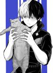  1boy animal belt blue_background boku_no_hero_academia bupopopopopo burn_scar cat costume frown greyscale hair_between_eyes heterochromia highres holding holding_animal holding_cat long_bangs looking_at_animal looking_at_object male_focus monochrome multicolored_hair open_collar scar scar_across_eye scar_on_face short_hair sideways_glance solo_focus spot_color striped striped_background todoroki_shouto two-tone_hair whiskers white_background 