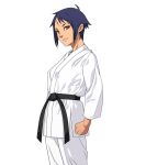  1girl 555carpaccio ahoge belt black_belt blue_hair brown_eyes clenched_hand dougi karate karate_gi looking_at_viewer original parted_lips scar scar_on_face scar_on_forehead short_hair simple_background smile solo standing white_background 