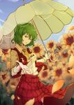  1girl absurdres ascot breasts closed_umbrella collared_shirt field flower flower_field frilled_ascot frills green_hair highres kazami_yuuka long_sleeves ooz open_clothes open_vest parasol petals plaid plaid_skirt plaid_vest red_eyes red_skirt red_vest shirt short_hair skirt skirt_set small_breasts sunflower touhou umbrella vest wavy_hair white_shirt yellow_ascot 