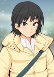  1girl amagami bangs black_hair blue_background blurry blurry_background brown_eyes closed_mouth commentary down_jacket dress_shirt eyebrows_visible_through_hair green_background highres jacket light_smile looking_at_viewer nanasaki_ai sakabatta shirt short_hair solo strap upper_body white_shirt yellow_jacket 