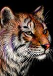  2022 absurdres animal animal_focus black_background blurry chinese_zodiac close-up closed_mouth commentary highres nekodosaiun nengajou new_year no_humans original realistic simple_background tiger traditional_media year_of_the_tiger yellow_eyes 
