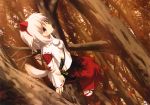  inubashiri_momiji tagme touhou 