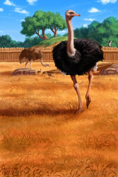  animal animal_focus baby_animal bird full_body grass highres johannatarkela nature no_humans official_art ostrich outdoors painterly realistic rock scenery sky tree watermark zebra zoo zoo_tycoon 