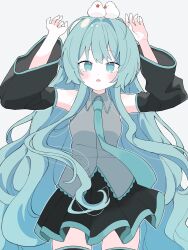  1girl alternate_hairstyle animal_on_head aqua_eyes aqua_hair aqua_necktie aqua_trim arms_up bare_shoulders bird bird_on_head black_skirt black_sleeves black_thighhighs blush collared_shirt commentary_request detached_sleeves dot_nose grey_shirt hair_down hair_intakes hatsune_miku highres long_hair looking_at_viewer necktie on_head open_mouth pleated_skirt shirt simple_background skirt sleeveless sleeveless_shirt solo teeth thigh-highs tori_(tori_nankotsu96) upper_teeth_only very_long_hair vocaloid white_background wide_sleeves wing_collar zettai_ryouiki 