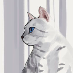 :3 absurdres animal animal_ears animal_focus animal_hands art_study blue_eyes cat cat_ears cat_paws cat_tail colored_inner_animal_ears commentary facing_viewer from_side grey_fur highres looking_to_the_side original snout solo tail two-tone_fur whiskers white_background white_fur yoon_cook 