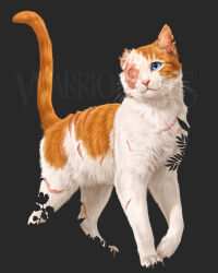  :3 animal animal_focus blue_eyes brightheart cat grey_background highres johannatarkela looking_at_viewer missing_ear missing_eye no_humans official_art orange_cat painterly realistic scar scar_on_face simple_background solo standing tabby_cat walking warrior_cats watermark whiskers white_cat 