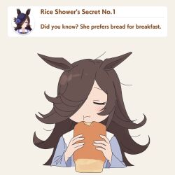  1girl absurdres animal_ears blue_shirt bread brown_hair closed_eyes commentary eating english_commentary english_text food grey_background highres holding_bread horse_ears horse_girl loaf_of_bread long_hair long_sleeves loose_hair_strand messy_hair myticalcat pajamas rice_shower_(umamusume) shirt simple_background solo umamusume upper_body 