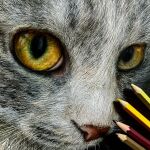  animal animal_focus artist_name cat close-up closed_mouth colored_pencil colored_pencil_(medium) commentary grey_cat highres looking_at_viewer nekodosaiun no_humans original pencil realistic shadow signature traditional_media yellow_eyes 