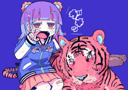  1girl animal animal_ears animal_print bandaid bandaid_on_knee bandaid_on_leg blue_background blue_jacket blunt_bangs blush commentary fangs gao hair_ornament hairclip hood jacket long_sleeves looking_at_viewer medium_hair multicolored_hair open_mouth original pink_hair pleated_skirt purple_hair red_eyes ringed_eyes simple_background sitting skirt solo tail terada_tera tiger tiger_ears tiger_tail zipper zipper_pull_tab 
