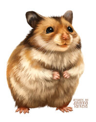  animal animal_focus artist_name black_eyes brown_fur full_body hamster johannatarkela looking_at_viewer no_humans original painterly photorealistic realistic rearing simple_background solo standing whiskers white_background 