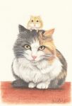  animal animal_focus calico cat closed_mouth colored_pencil_(medium) commentary hamster highres looking_at_viewer midori_(user_rfup2354) no_humans original pastel_(medium) signature sitting traditional_media white_background yellow_eyes 