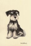  animal animal_focus closed_mouth colored_pencil_(medium) commentary_request dog grey_eyes highres midori_(user_rfup2354) no_humans original pastel_colors schnauzer shadow signature simple_background sitting traditional_media white_background 
