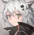  1girl animal_ears arknights bangs closed_mouth eyebrows_visible_through_hair gradient gradient_background green_eyes grey_background hair_ornament hairclip high_collar highres lappland_(arknights) long_hair looking_at_viewer portrait scar scar_across_eye silver_hair smile solo touchika wolf_ears 