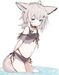  1girl ahoge animal_ears arknights arms_behind_back bangs bare_shoulders bikini black_bikini blue_eyes blush closed_mouth eyebrows_visible_through_hair flat_chest fox_ears fox_girl fox_tail hair_ornament hairclip leaning_forward looking_at_viewer low_twintails navel official_alternate_costume oripathy_lesion_(arknights) sanma_(tabet_) see-through short_hair short_twintails silver_hair simple_background smile solo stomach sussurro_(arknights) sussurro_(summer_flowers)_(arknights) swimsuit tail twintails wading water white_background 