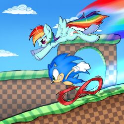animal_nose blue_fur blue_sky clouds cloudy_sky crossover flying furry furry_male gloves green_hill_zone hedgehog_boy highres lennardo_(grim_the_end) multicolored_hair pegasus pony_(animal) rainbow rainbow_dash rainbow_hair red_shoes running shoes short_tail sky sonic_(series) sonic_the_hedgehog tail white_gloves