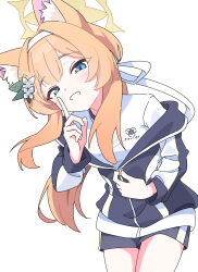  1girl absurdres animal_ear_fluff animal_ears blue_archive blue_eyes blue_jacket blue_shorts bow cat_ears cat_girl commentary cowboy_shot double-parted_bangs eyes_visible_through_hair finger_to_mouth flower gym_uniform hair_bow hair_flower hair_intakes hair_ornament hairband halo highres index_finger_raised jacket long_hair long_sidelocks looking_at_viewer mari_(blue_archive) mari_(track)_(blue_archive) orange_hair partially_unzipped shirt shorts shushing sidelocks simple_background solo thighs track_jacket untranslatable_commentary unzipping user_ecjr8472 white_background white_bow white_flower white_hairband white_shirt yellow_halo 