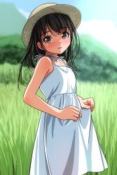  1girl absurdres bare_arms black_hair blue_sky blurry blurry_background blush brown_eyes clothes_lift clouds commentary_request day dress dress_lift field grass hat highres lifting_own_clothes long_hair looking_at_viewer matsunaga_kouyou mountain open_mouth original outdoors sidelocks sky smile solo standing straw_hat sun_hat sundress tree white_dress 